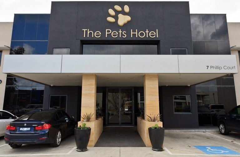Find a pet friendly hotel near me