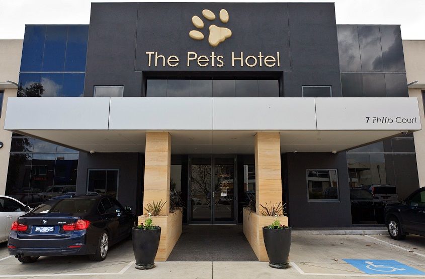 Find a pet friendly hotel near me