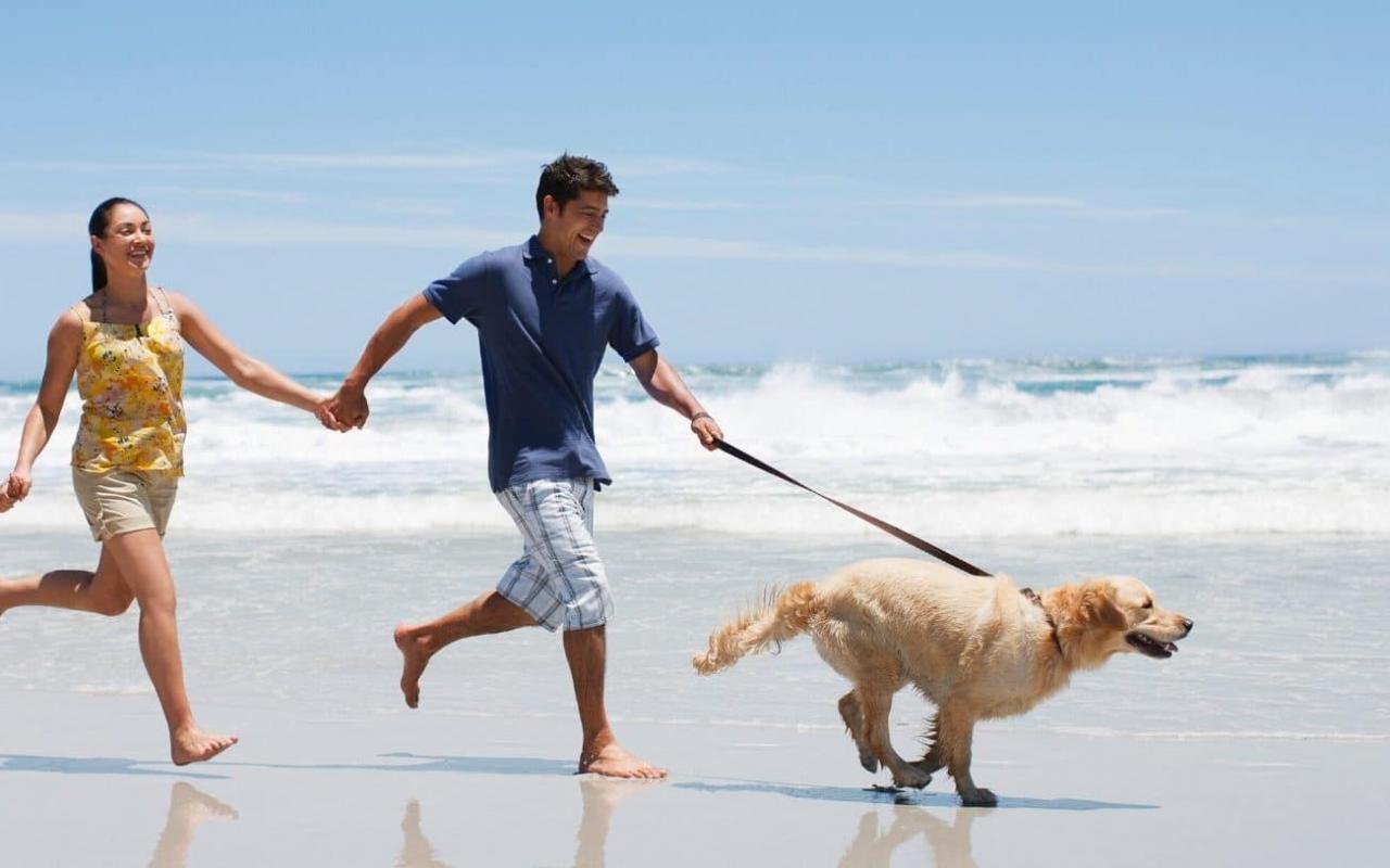 Family and dog friendly holidays