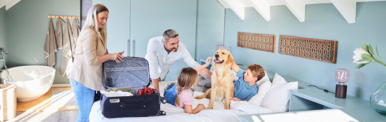Find Dog-Friendly Hotels Your Guide