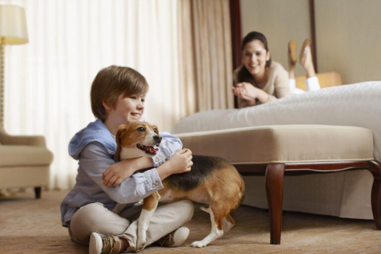 Find pet friendly hotels