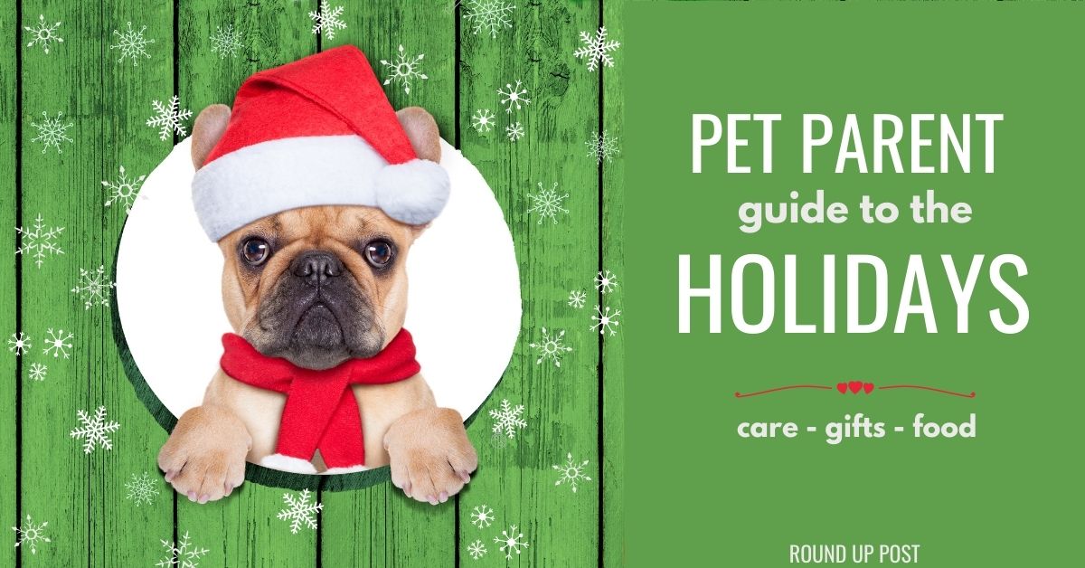 Dog and family friendly holidays